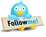 Twitter-Follow-Me-Bird-300x243